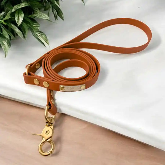 Laisse Biothane 7 coloris