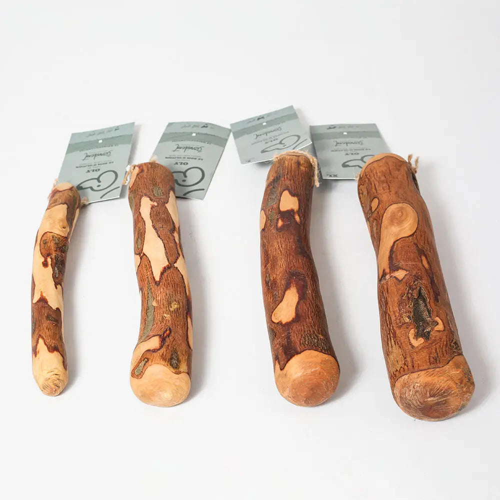Bâton en bois d'olivier à mâcher - Évident