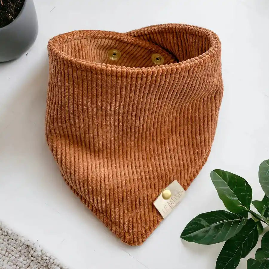 Bandana Chiens & Chats