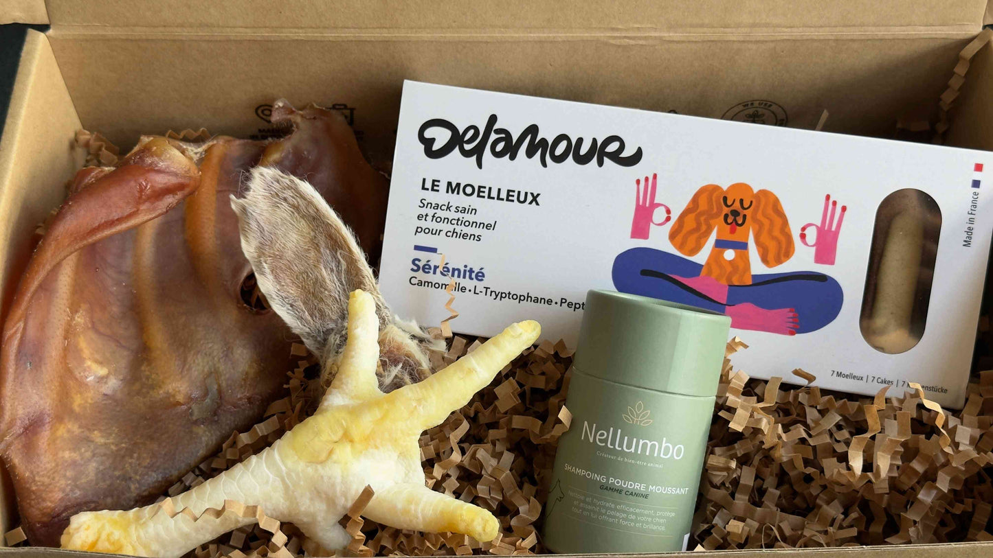 Coffret Chiens - Produits Naturels | Produits Fabrication Française, boîte en carton décorée pour friandises et soins canins made in France.