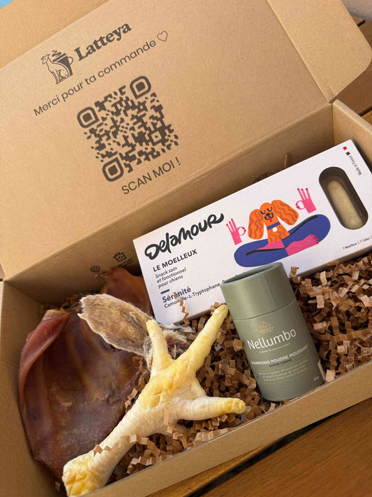 Coffret Chiens - Produits Naturels avec friandises françaises, soins Nelumbo et snacks Delamour dans une boîte cadeau Latteya. Idéal bien-être canin.