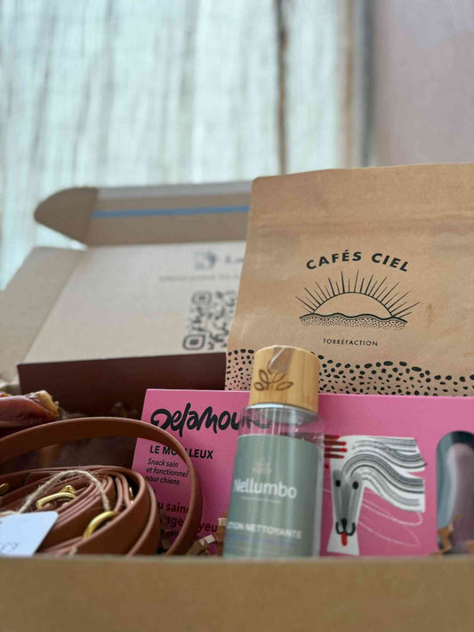 Coffret Mensuelle - Surprise Chien Mensuel | Friandises, Soins dans une boîte en carton Latteya décorée de motifs pour animaux. Idéal pour gâter votre chien chaque mois.