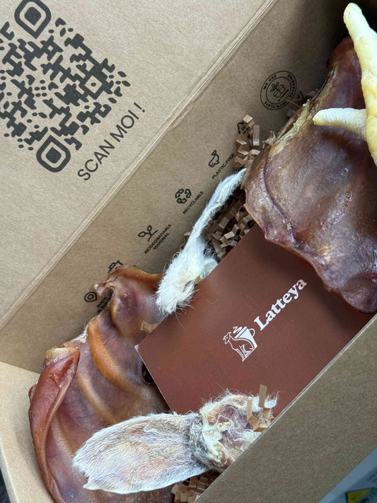 Coffret Mastications - 100% Naturel pour chien, boîte en carton décorée avec logo Latteya, idéale pour la santé bucco-dentaire canine.