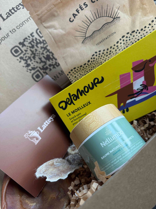 Coffret Découverte Chien - Friandises & Soin Vitalité dans une boîte en carton kraft avec motifs pattes, idéal pour tester des produits bien-être canins.