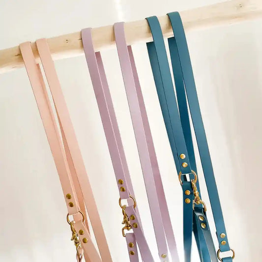 Laisse Biothane Multi-positions 7 coloris