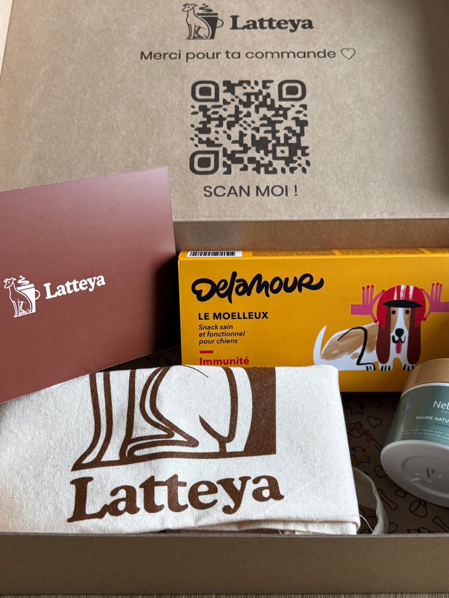 La box Only for Dogs