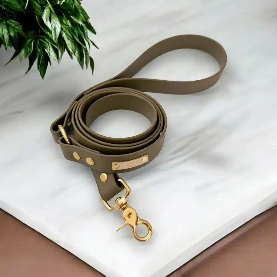 Laisse Biothane 7 coloris