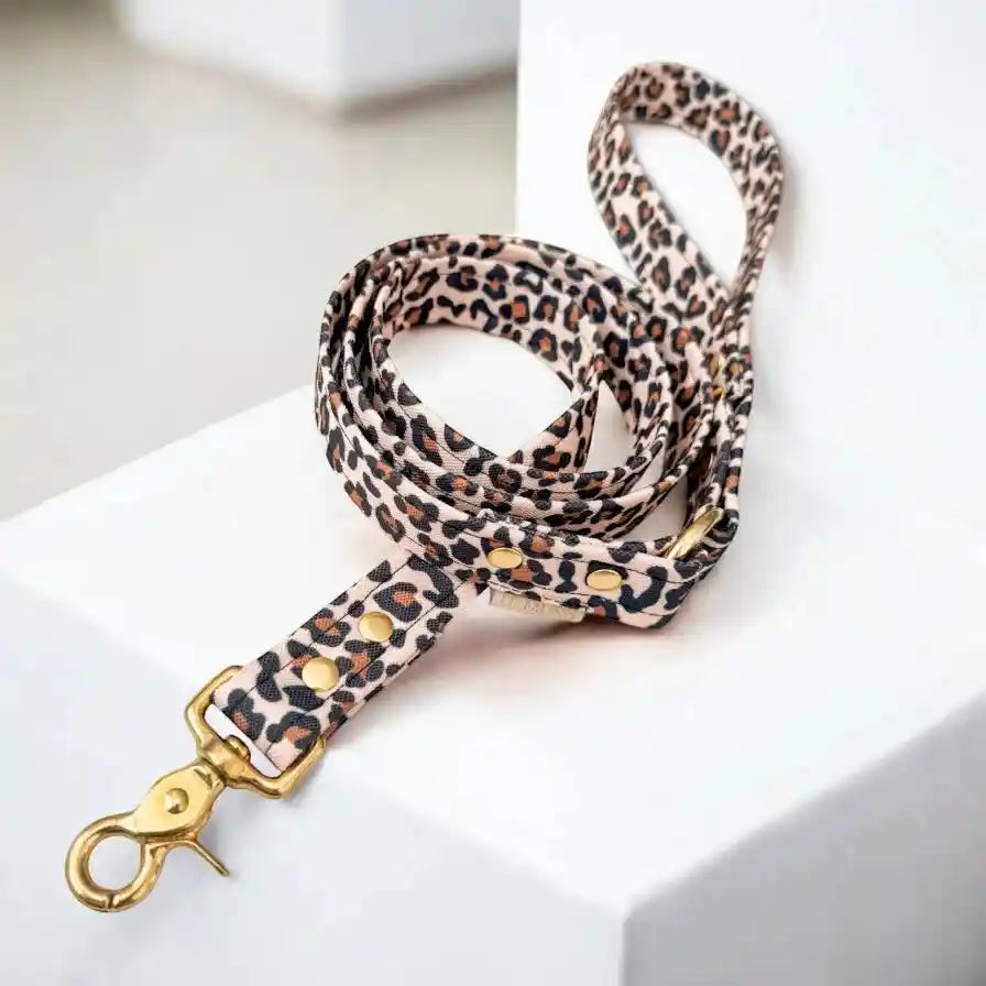 Laisse imperméable léopard pour chien et chat avec mousqueton doré, fabrication française, idéale pour toutes conditions météo.