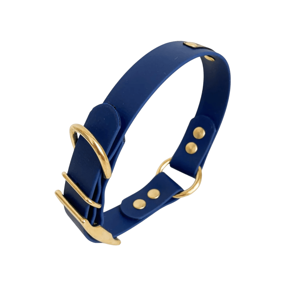 Collier Biothane à oeillets 7 coloris