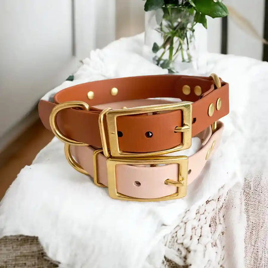 Collier Biothane à oeillets 7 coloris