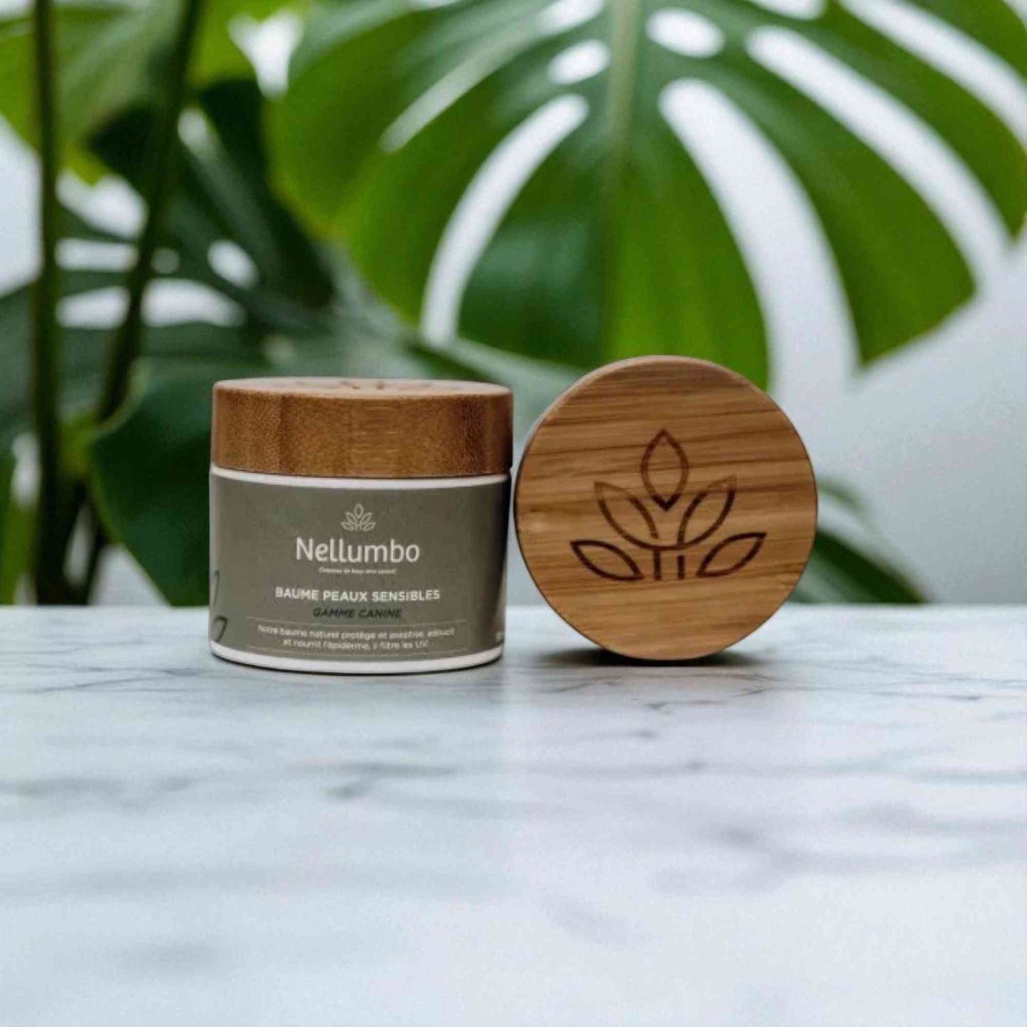 Baume Peaux Sensibles Chiens - Traitement Irritations | Soin Dogs en pot 50ml avec couvercle en bois gravé, idéal pour hydrater et apaiser la peau canine.
