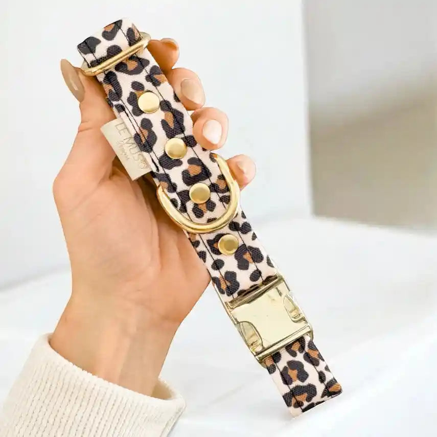 Collier chien imperméable léopard avec clip de sécurité doré, design robuste et élégant pour animaux de compagnie. Idéal pour toutes tailles de chiens.