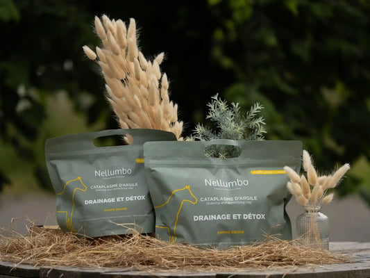 Argile Verte Chevaux - Drainage et Détox en sachets Nellumbo, idéale pour la circulation sanguine et la récupération équine après l'effort.