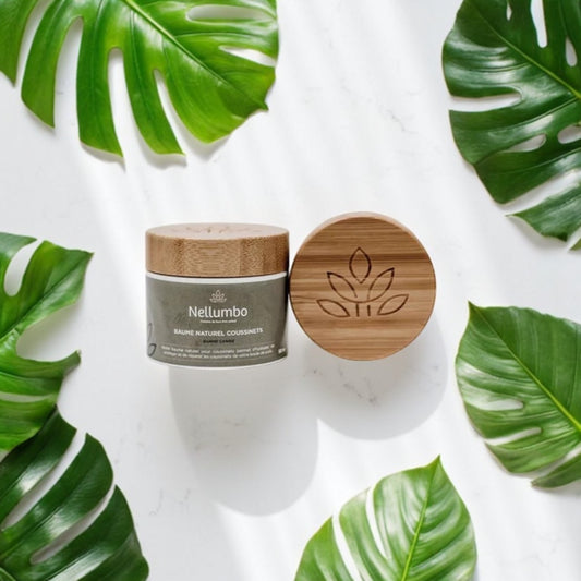 Baume coussinets 50ml naturel pour chiens de la marque Nellumbo, pot en bois avec couvercle gravé, protège et répare les coussinets.