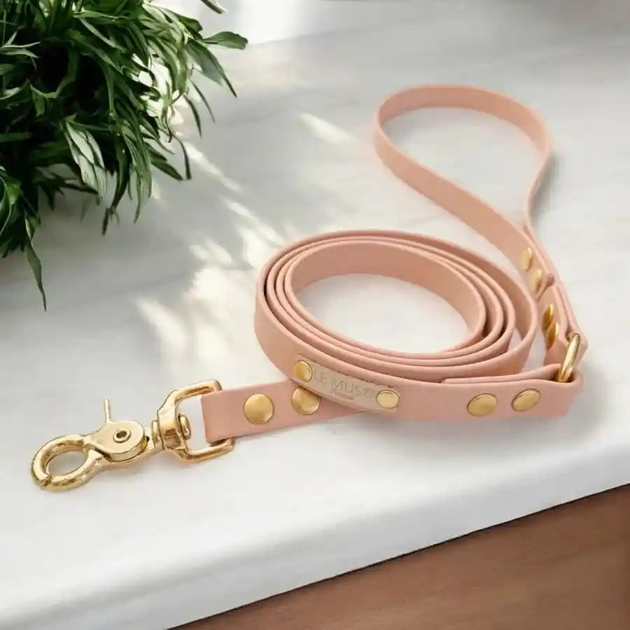 Laisse Biothane 7 coloris