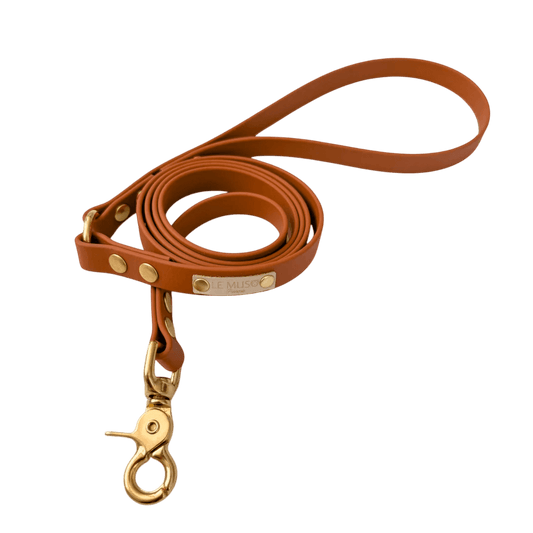 Laisse Biothane durable chien couleur marron avec mousqueton doré, imperméable et facile à nettoyer, idéale pour promenades canines.