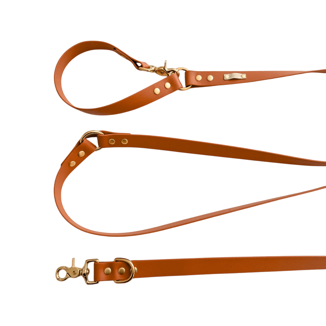 Laisse Biothane pour chiens multi positions en coloris marron avec mousquetons dorés, idéale pour promenades urbaines ou sportives.