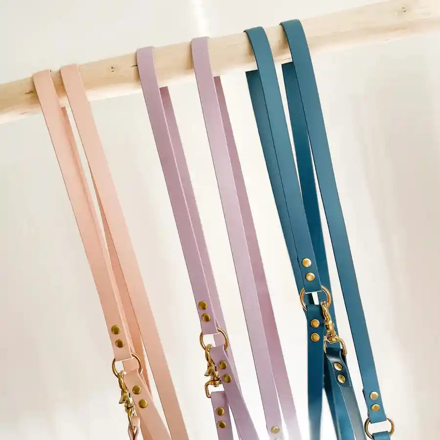 Laisse Biothane Multi-positions 7 coloris