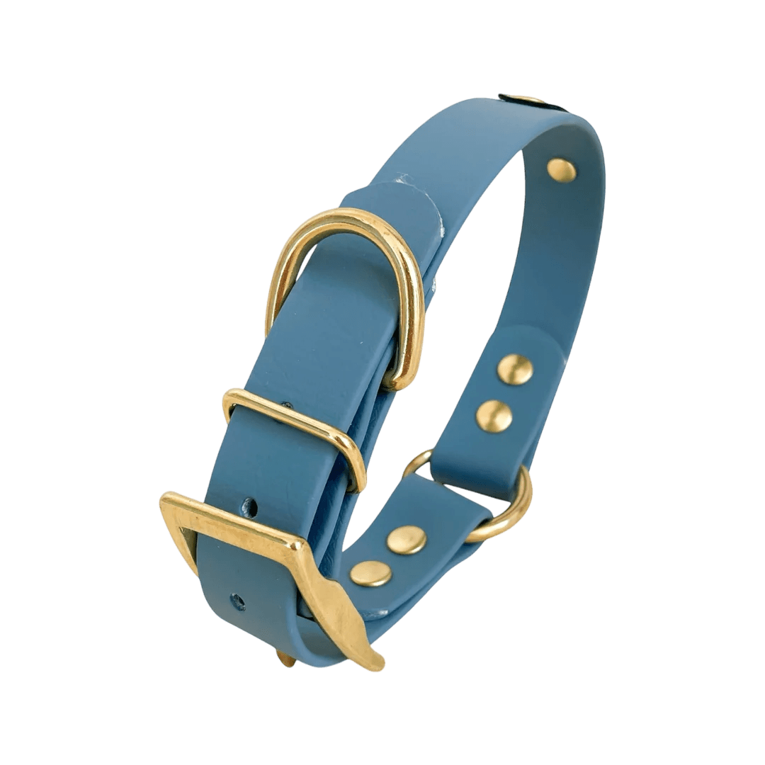 Collier Biothane à oeillets 7 coloris