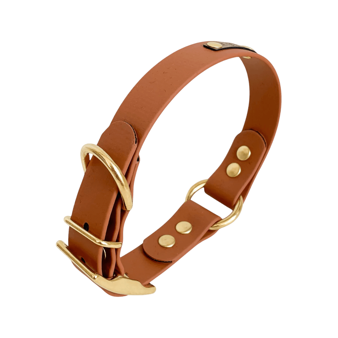 Collier Biothane à oeillets 7 coloris