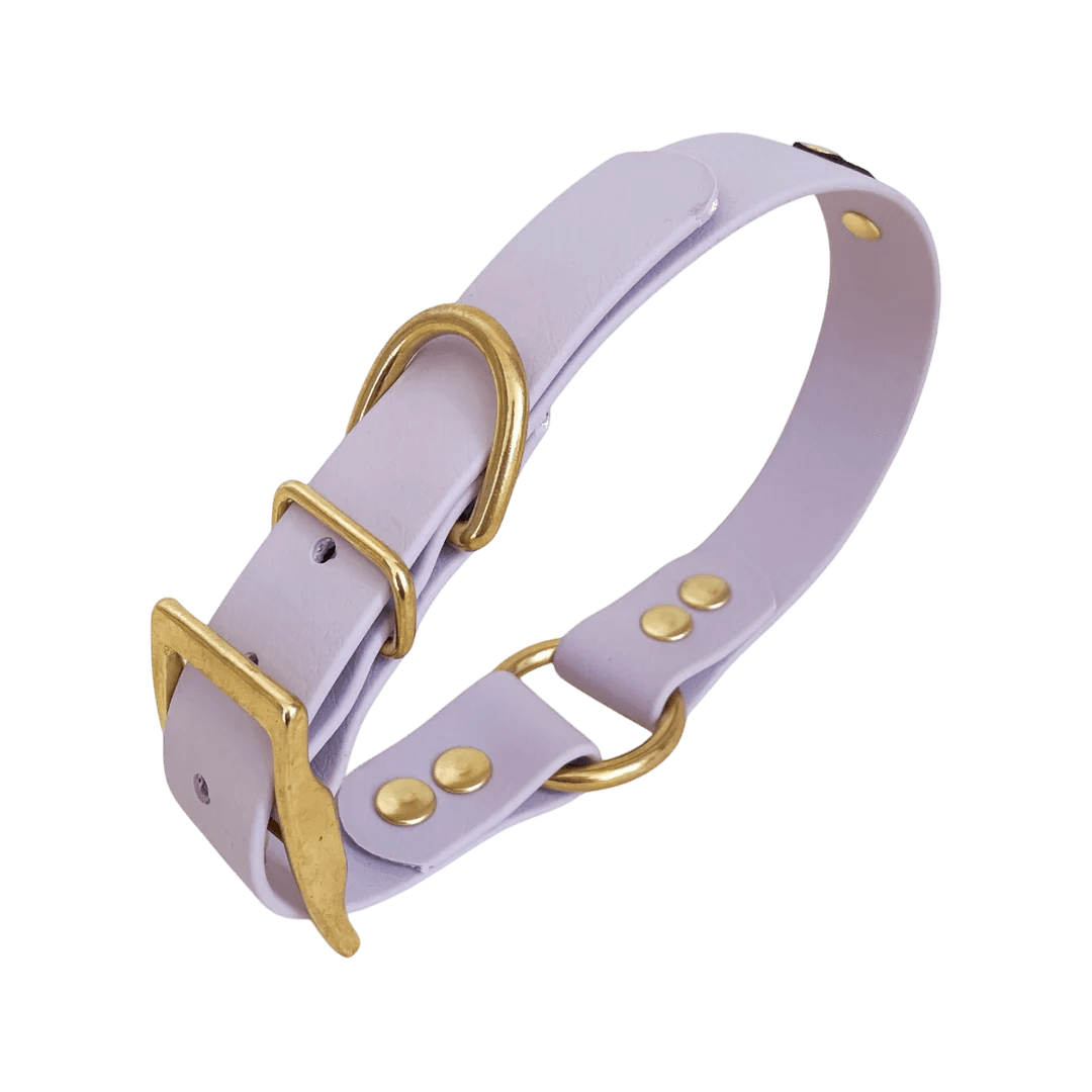 Collier Biothane à oeillets 7 coloris