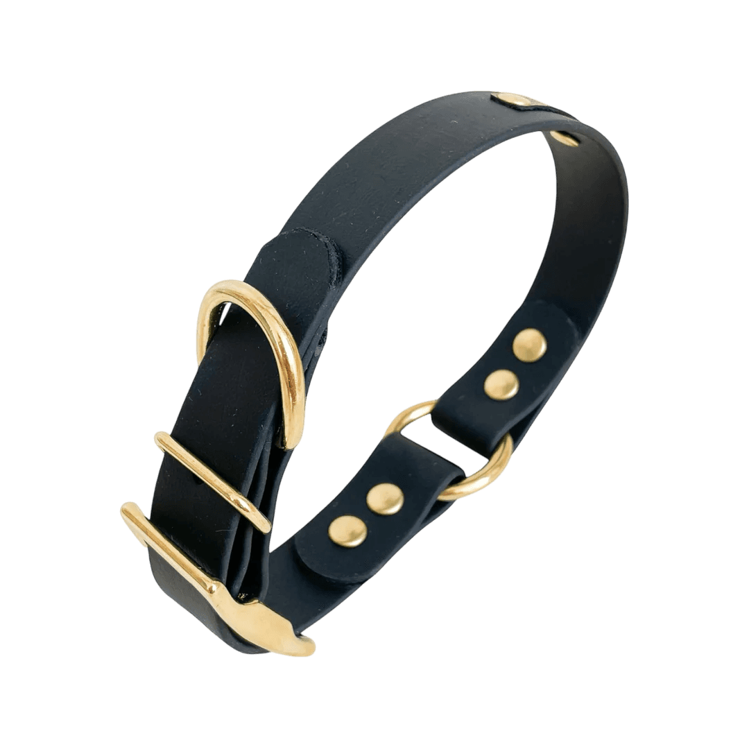 Collier Biothane à oeillets 7 coloris