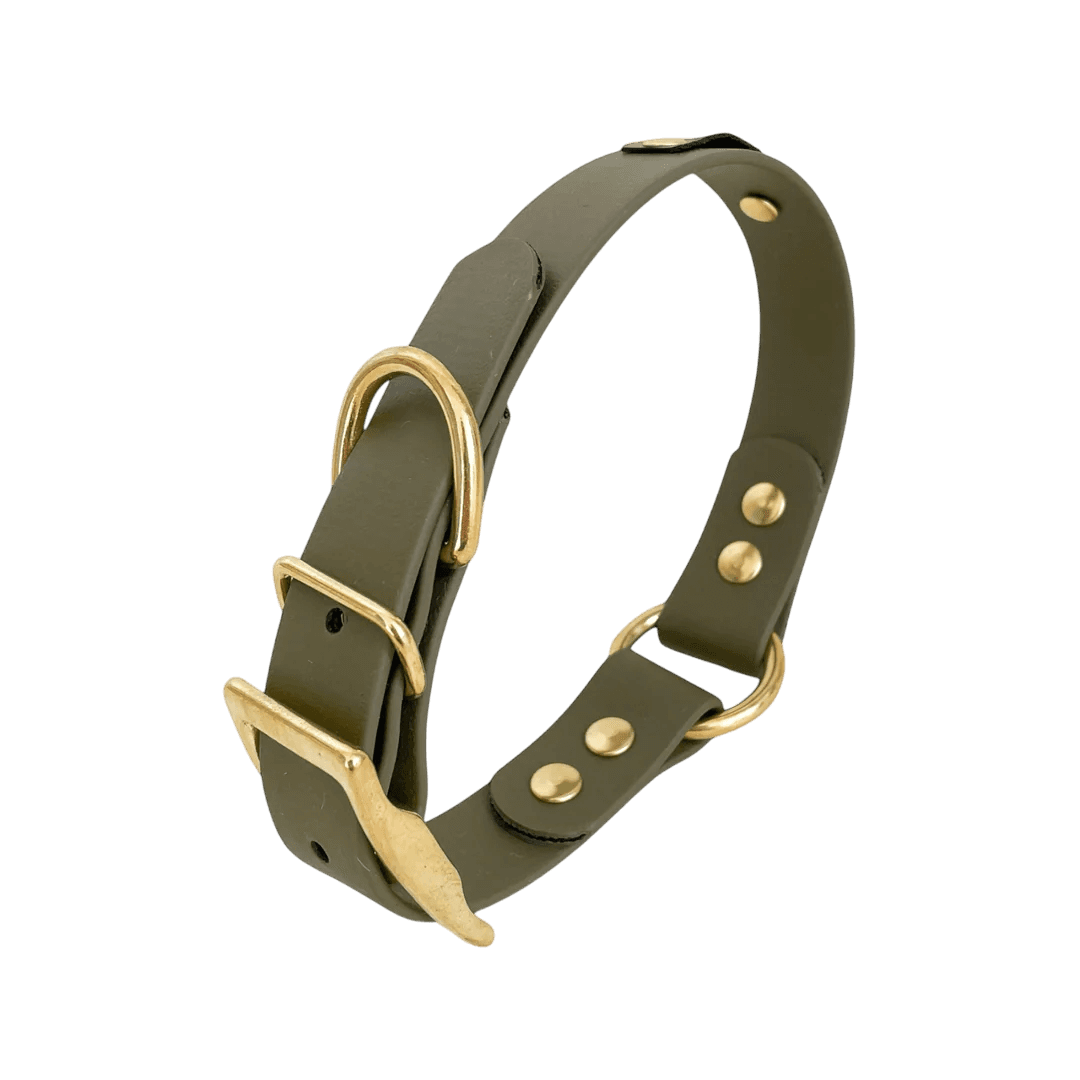 Collier Biothane à oeillets 7 coloris