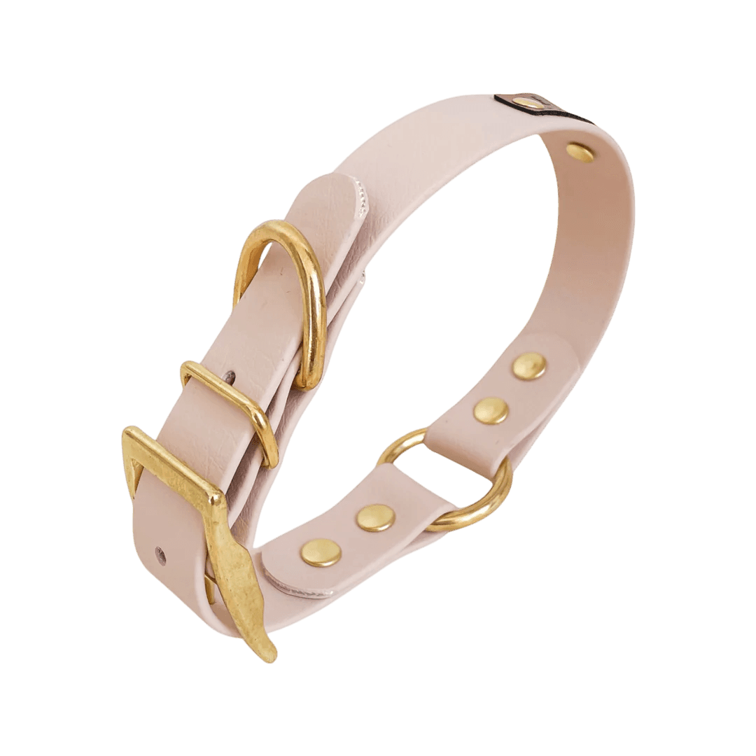 Collier Biothane à oeillets 7 coloris