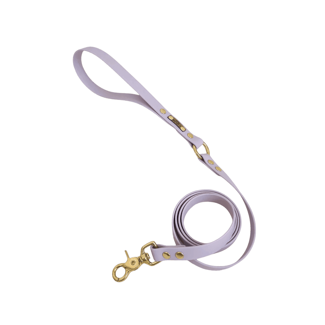 Laisse Biothane lavande pour chien, imperméable et robuste avec mousqueton doré, conçue pour un confort optimal et un nettoyage facile.