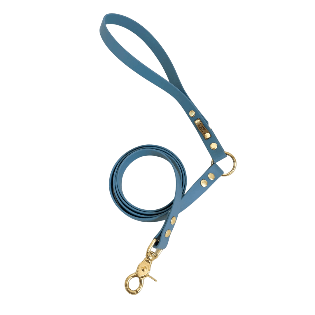 Laisse Biothane bleu ciel pour chien avec finitions dorées, souple et résistante, parfaite pour un usage quotidien en extérieur.