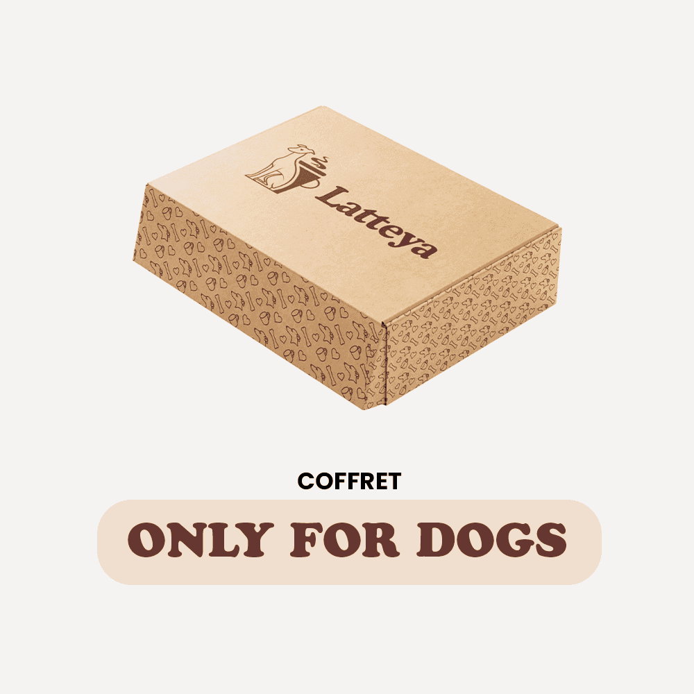 Coffret Chiens - Produits Naturels | Produits Fabrication Française, boîte en carton décorée pour friandises et soins canins made in France.