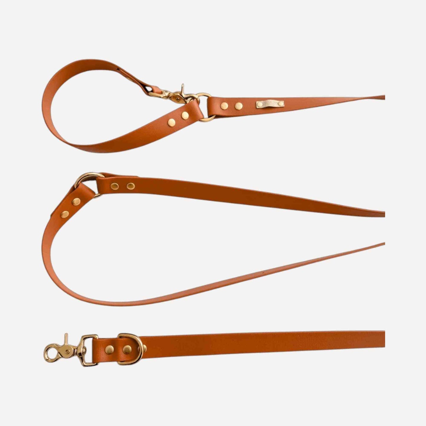 Laisse Biothane Multi-positions 7 coloris
