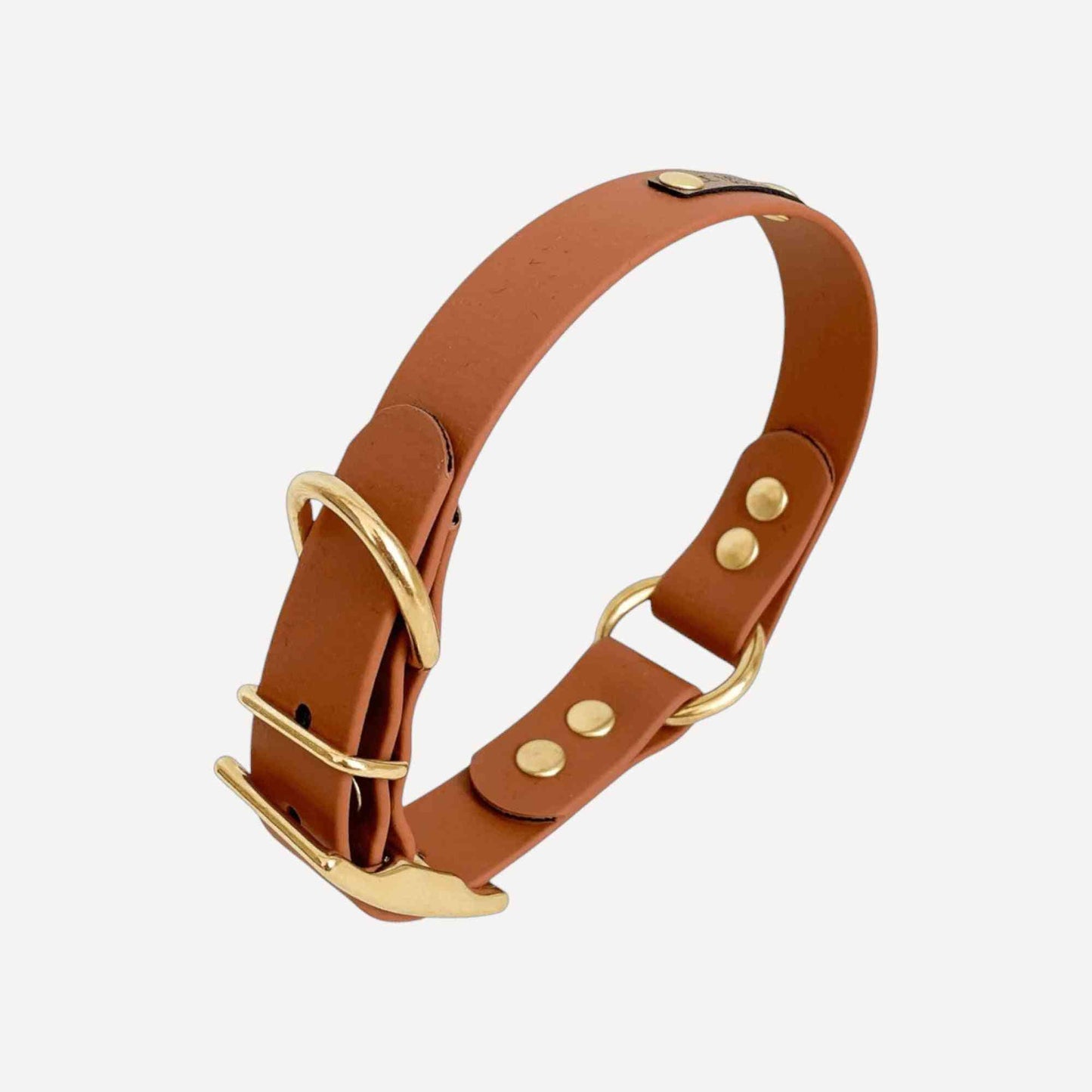 Collier Biothane à oeillets 7 coloris