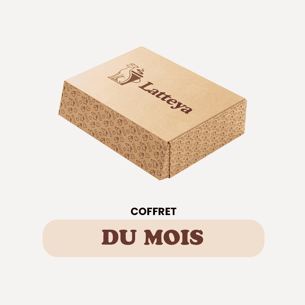 Coffret Mensuelle - Surprise Chien Mensuel | Friandises, Soins dans une boîte en carton Latteya décorée de motifs pour animaux. Idéal pour gâter votre chien chaque mois.
