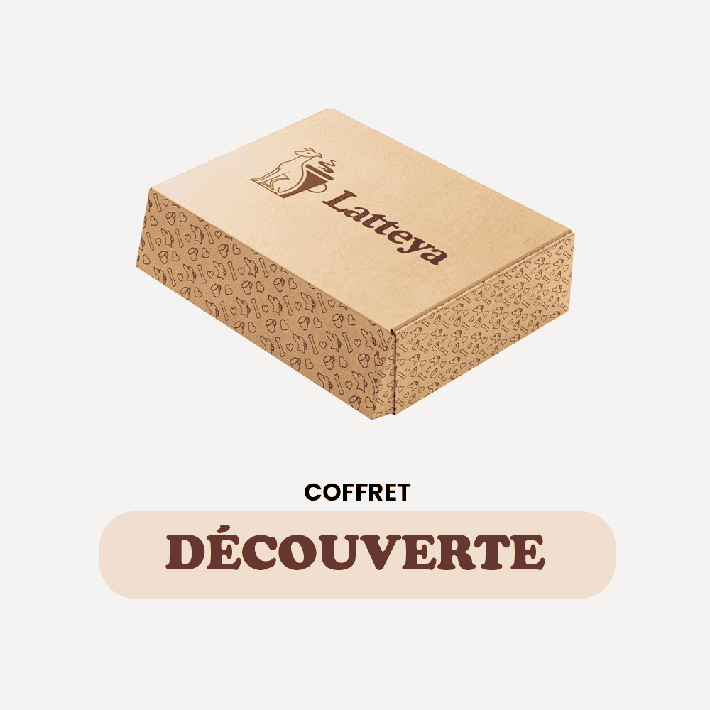 Coffret Découverte Chien - Friandises & Soin Vitalité dans une boîte en carton kraft avec motifs pattes, idéal pour tester des produits bien-être canins.