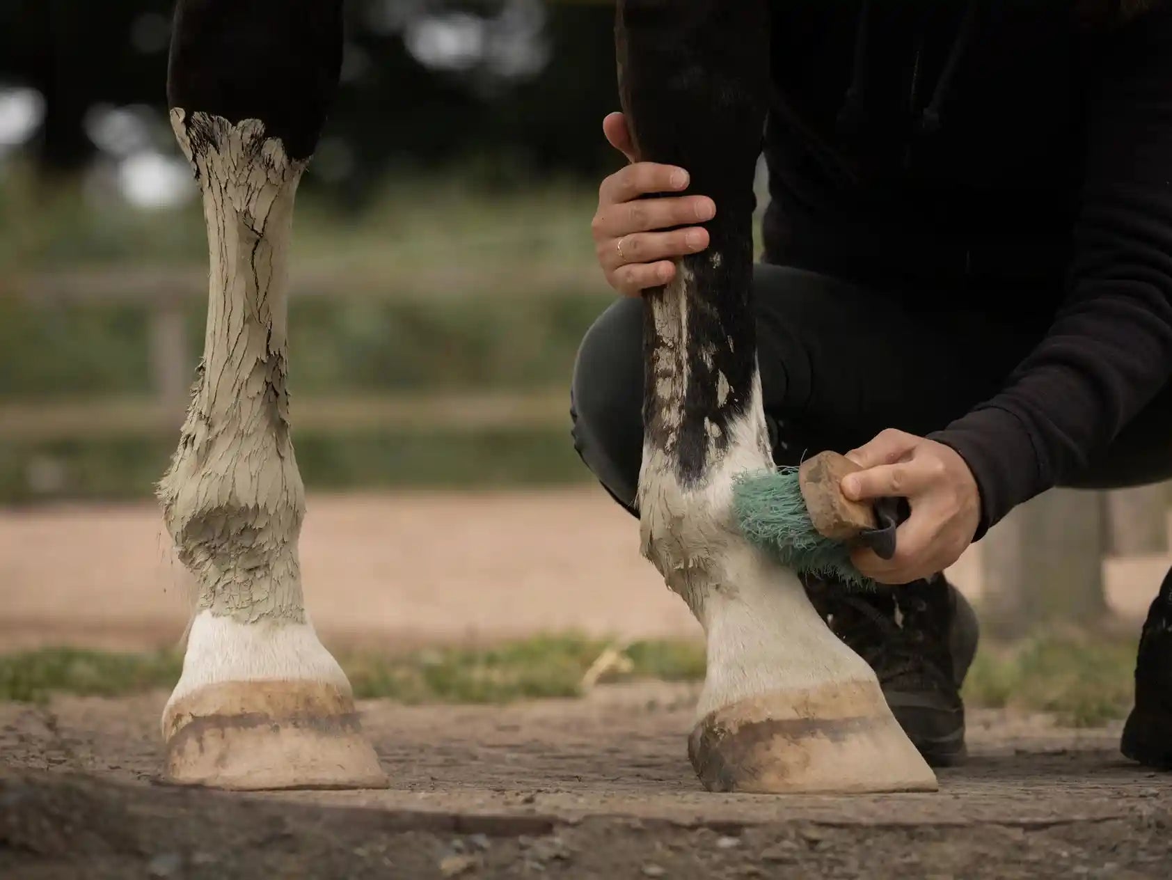 Argile Verte Chevaux - Drainage et Détox en sachets Nellumbo, idéale pour la circulation sanguine et la récupération équine après l'effort.