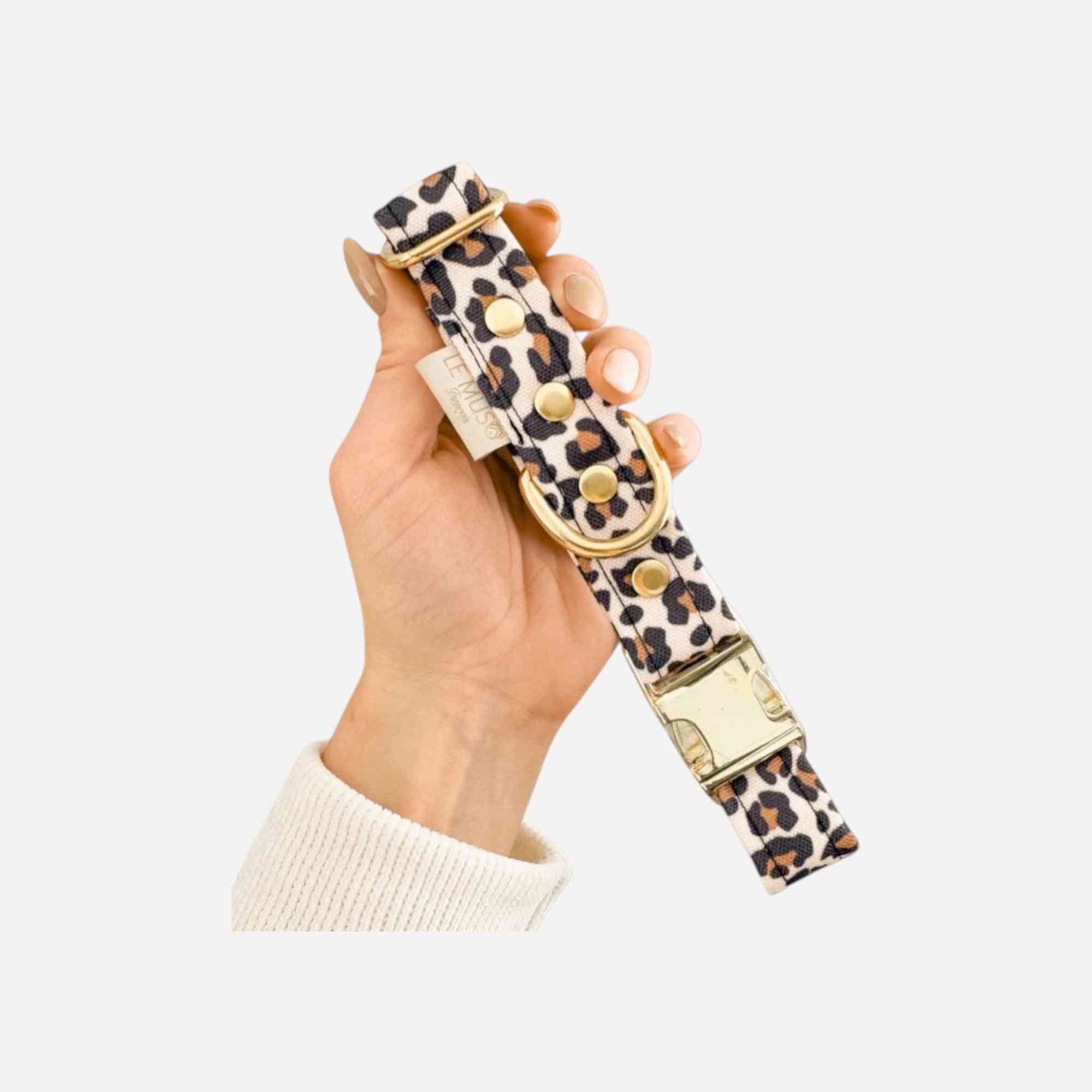 Collier chien imperméable léopard avec clip de sécurité doré, design robuste et élégant pour animaux de compagnie. Idéal pour toutes tailles de chiens.